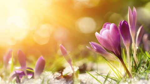 preview for Everything to Know About the Spring Equinox