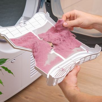 a man holds a dirty dryer filter a man collects lint, hair, wool from the filter of drying machine red lint on the dryer filter dirty filter dryer stock photo