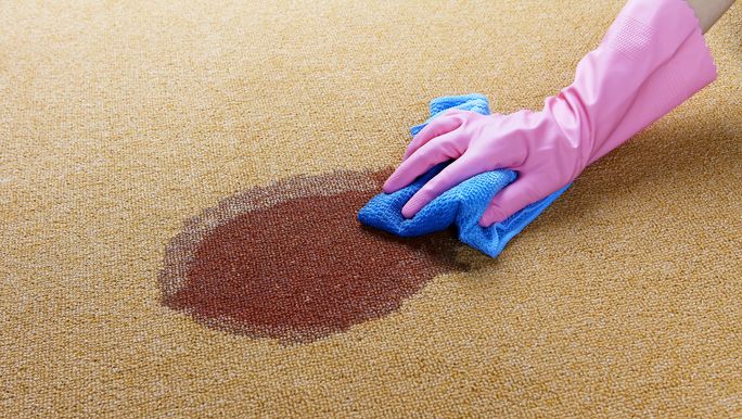 preview for How to Clean Carpets the Right Way