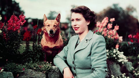 Video player poster image preview for Queen Elizabeth Through the Years