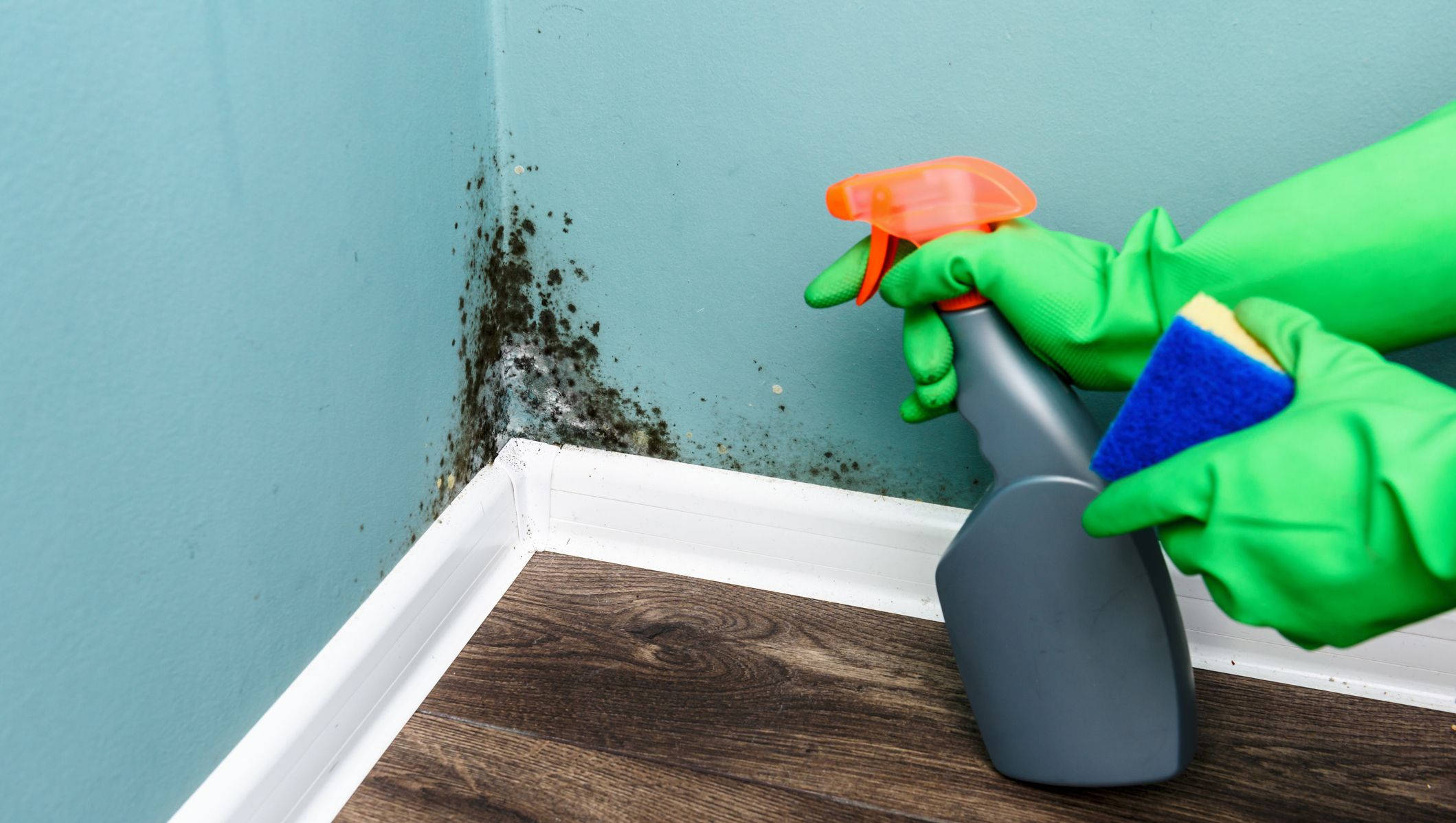 What Happens If You Accidentally Eat Mold?