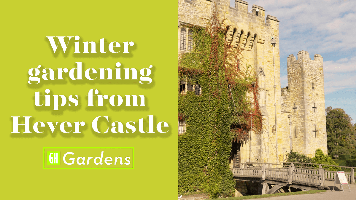 preview for Winter Gardening Tips From Hever Castle