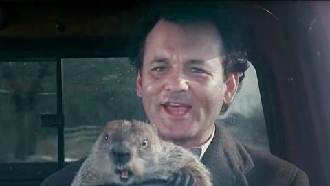 preview for Everything That Happened in the News On Bill Murray’s Actual Groundhog Day
