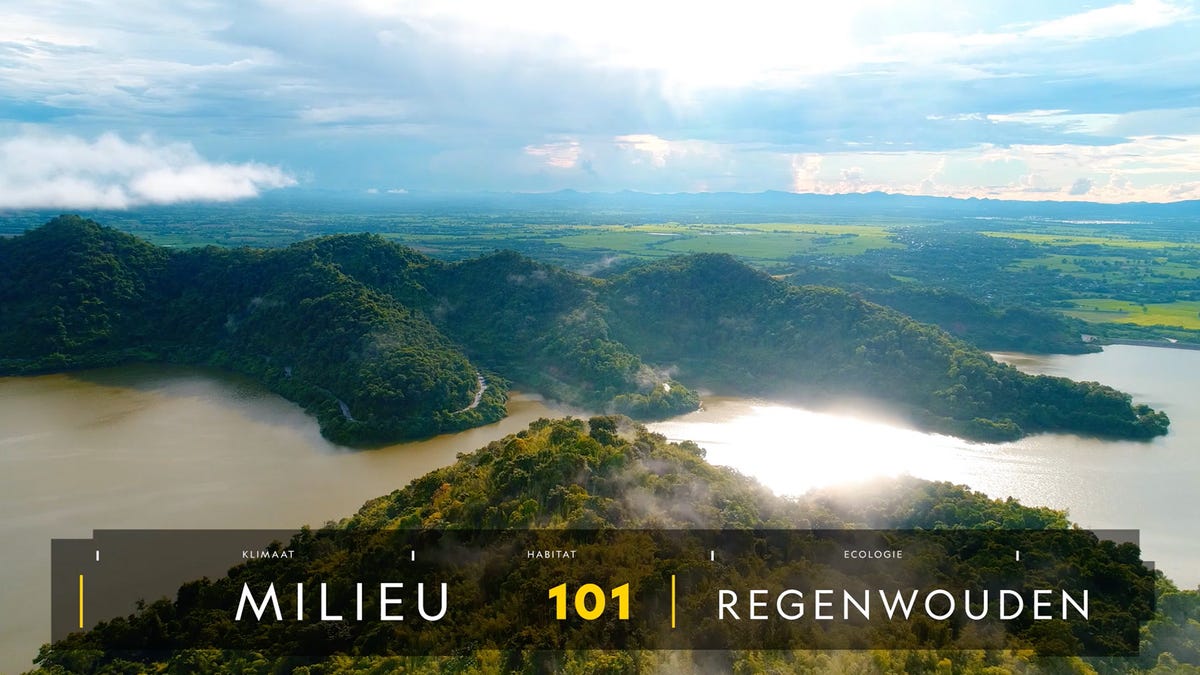 Video player poster image preview for Natuur