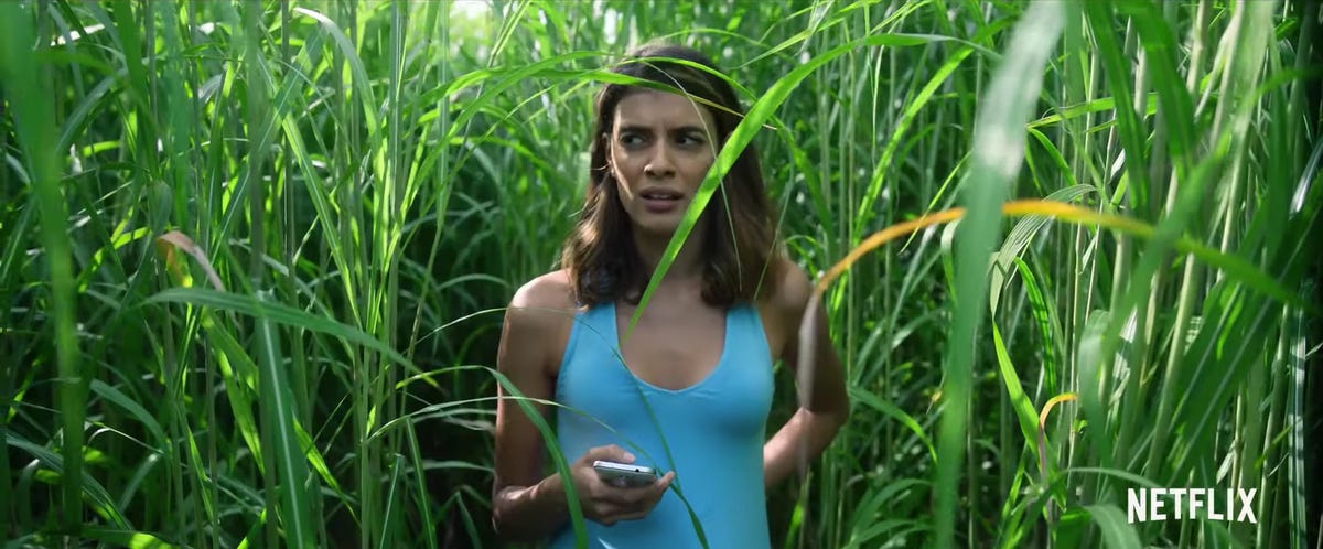 Netflix In The Tall Grass Stephen King Horror Gets Trailer 