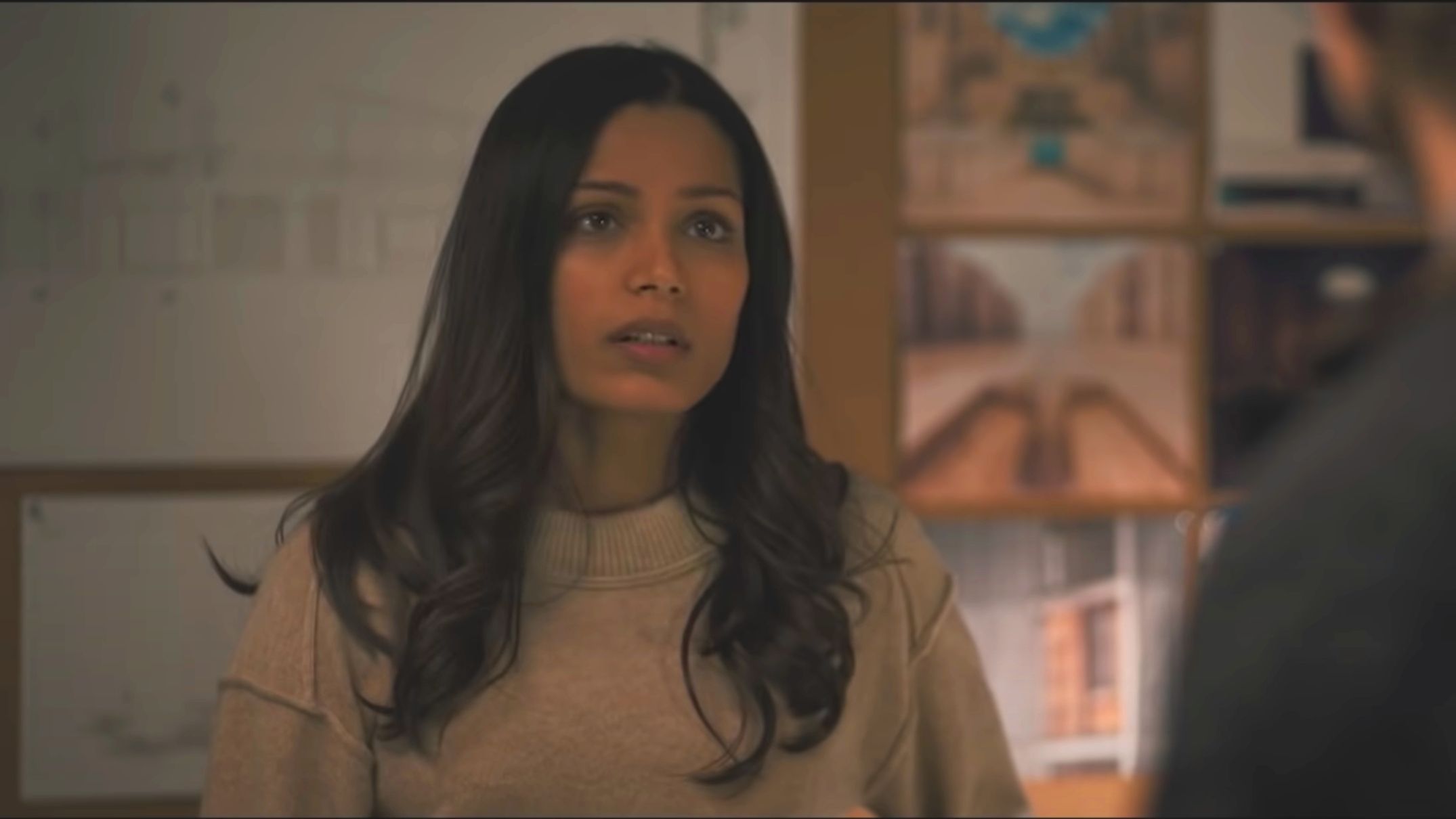 Intrusion' Ending Explained: Freida Pinto's Thriller Ends With a