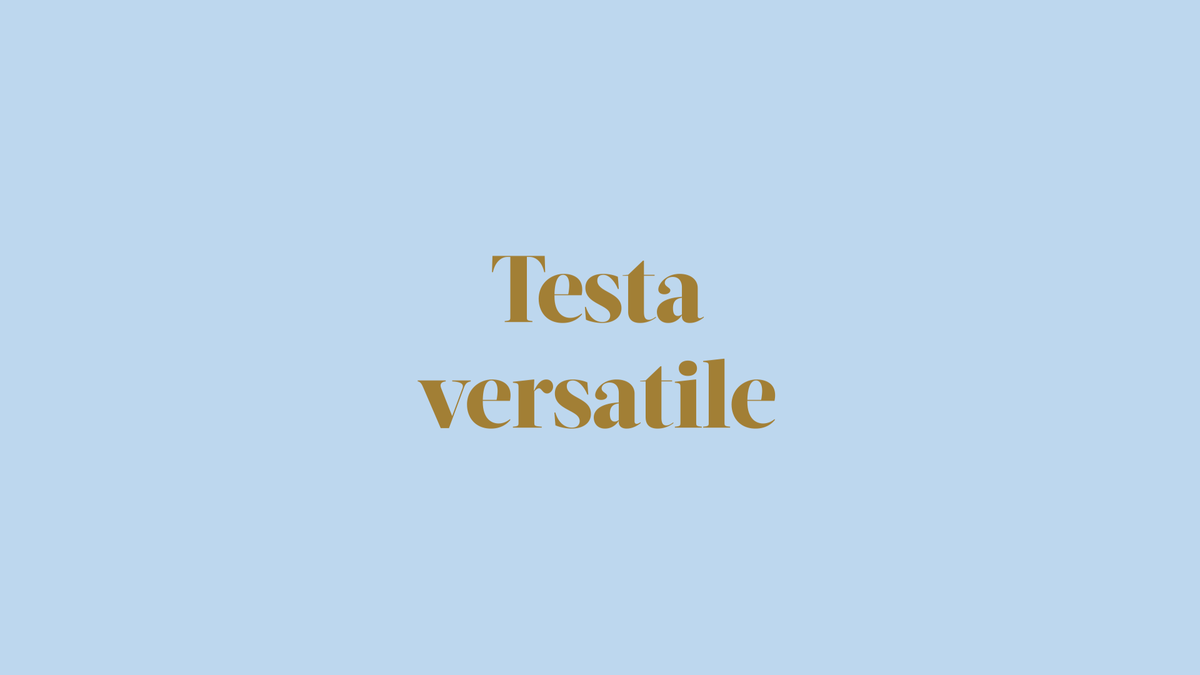 preview for Testa versatile, Jean Louis David Go Style