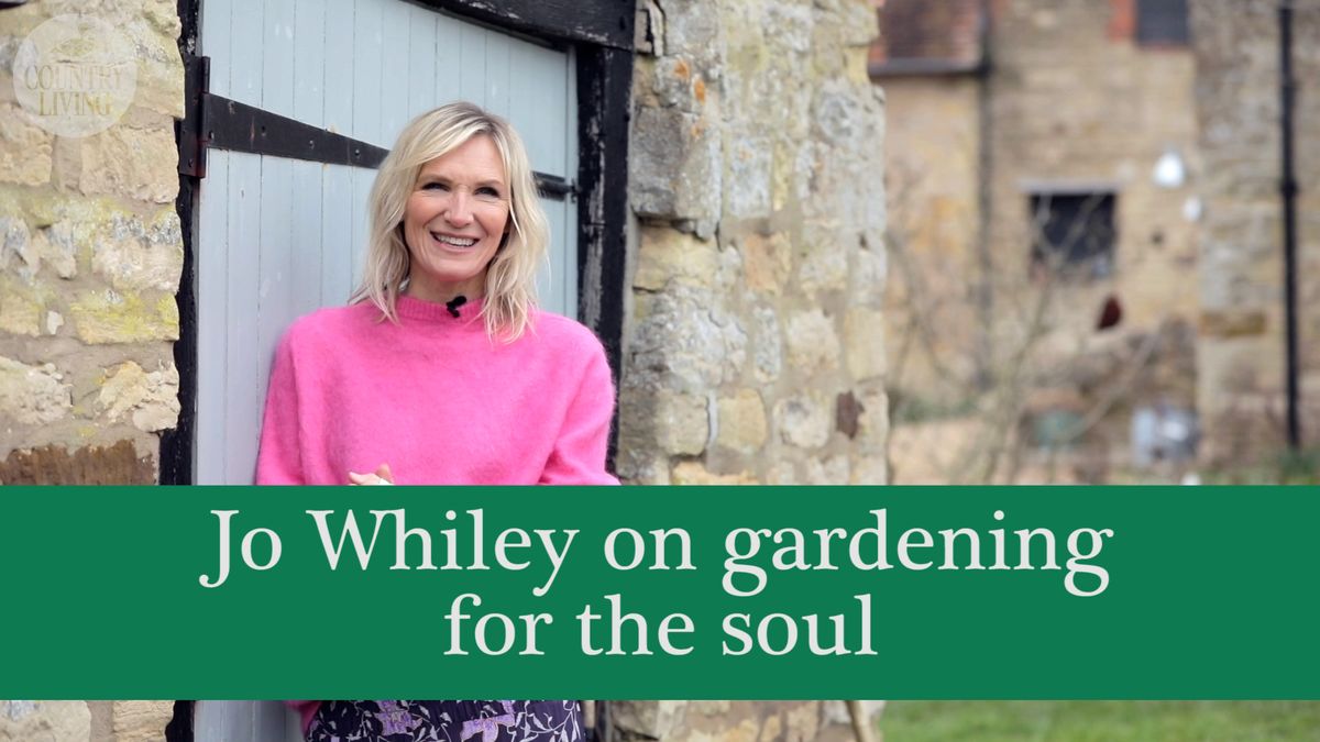 preview for Jo Whiley on gardening for the soul