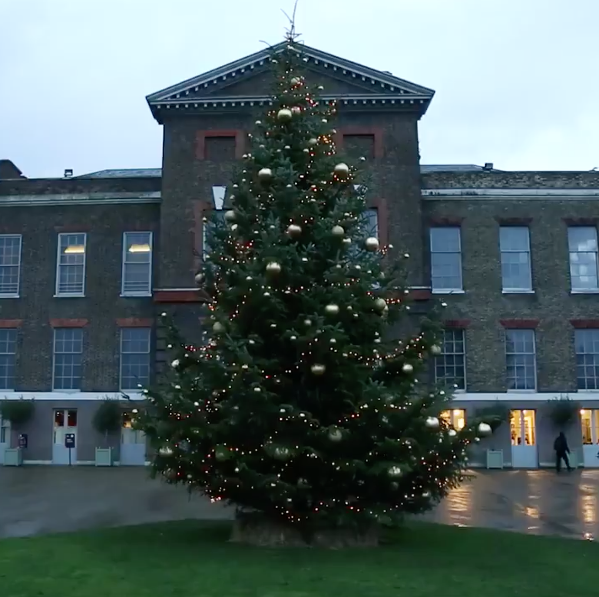 preview for Kensington Palace Christmas tree 2018
