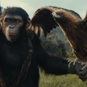 kingdom of the planet of the apes trailer