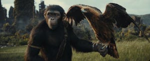 kingdom of the planet of the apes trailer
