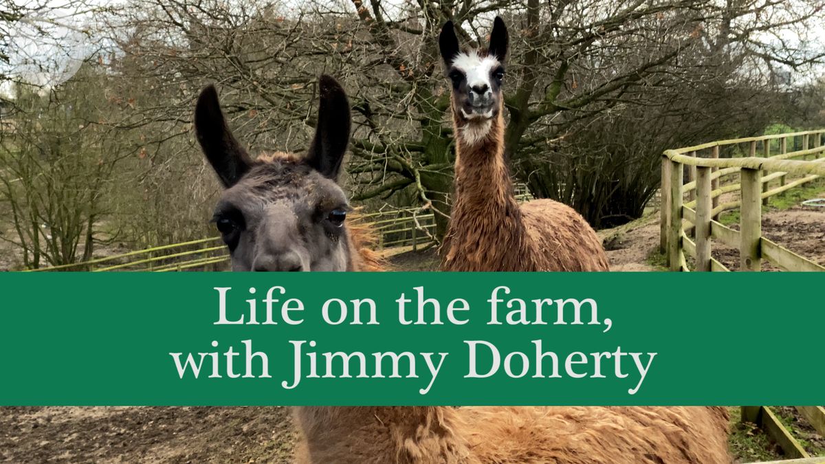 preview for Life on the farm, with Jimmy Doherty