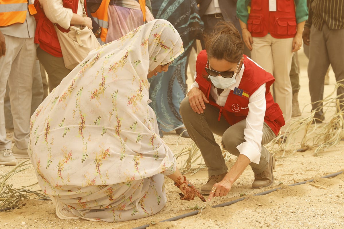 la reina letizia en mauritania