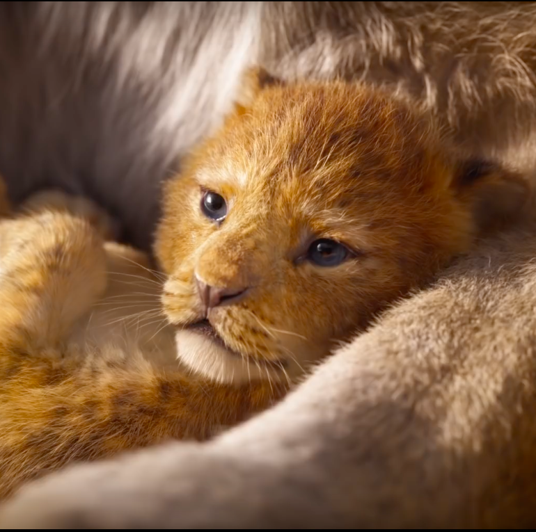 Live-action The Lion King trailer screengran