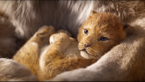 The Lion King Review Beyonce And Donald Glover