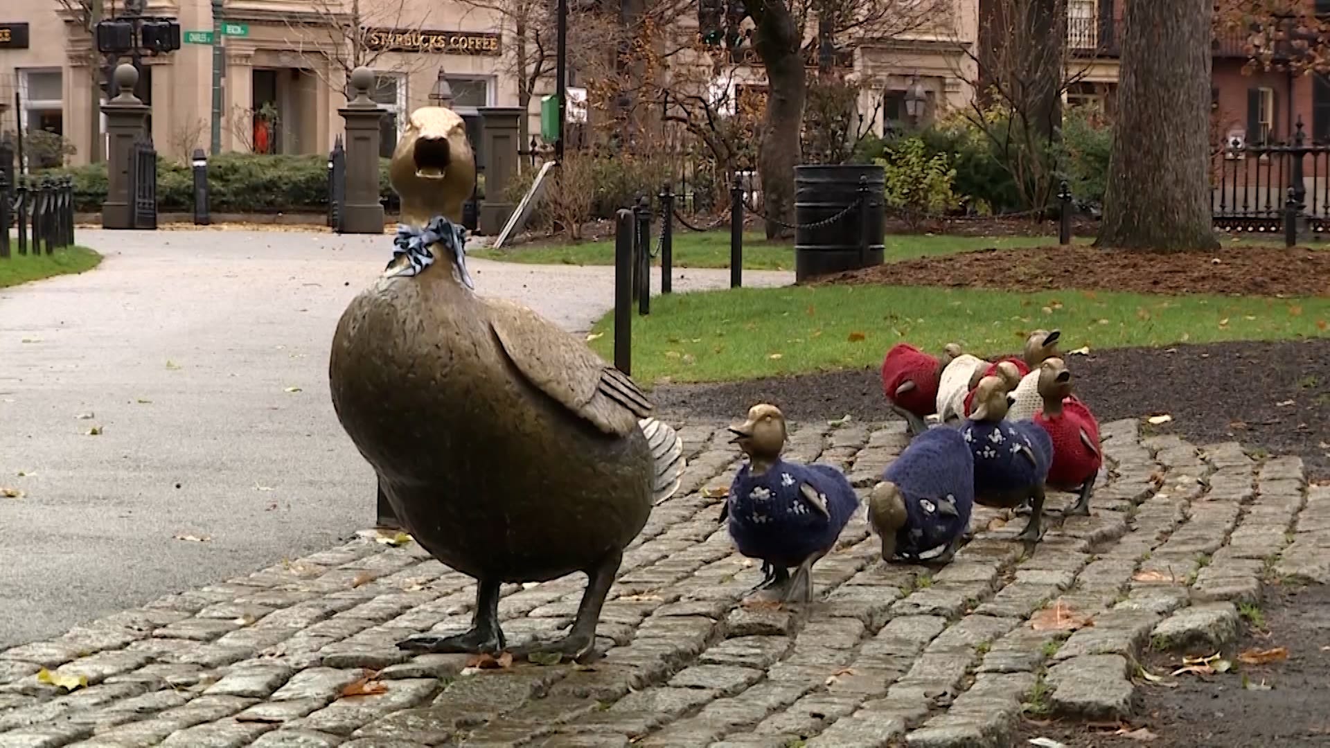 Make Way For Ducklings Boston Public Garden Location | Fasci Garden