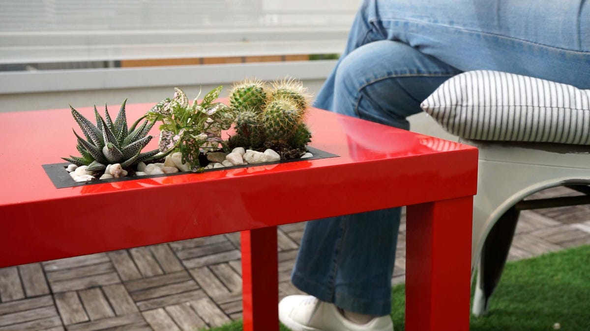 mesa de centro con jardinera y plantas