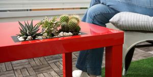 mesa de centro con jardinera y plantas