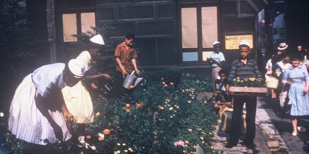 The Lasting Legacy of Black Garden Clubs in America