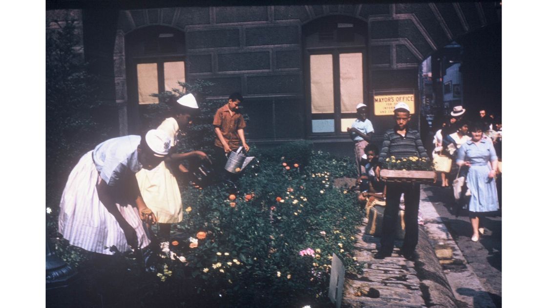 preview for The Important Legacy of Black Garden Clubs in America