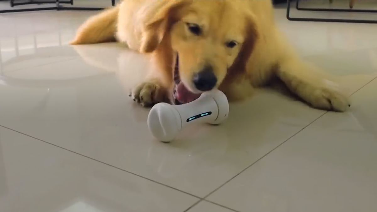 preview for World's First Smart Dog Toy