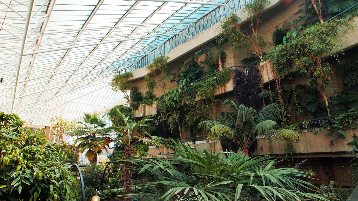 preview for The Barbican Conservatory - A Hidden Urban Jungle