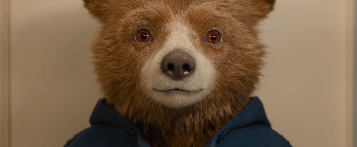 Paddington 3 release date, trailer, cast and more