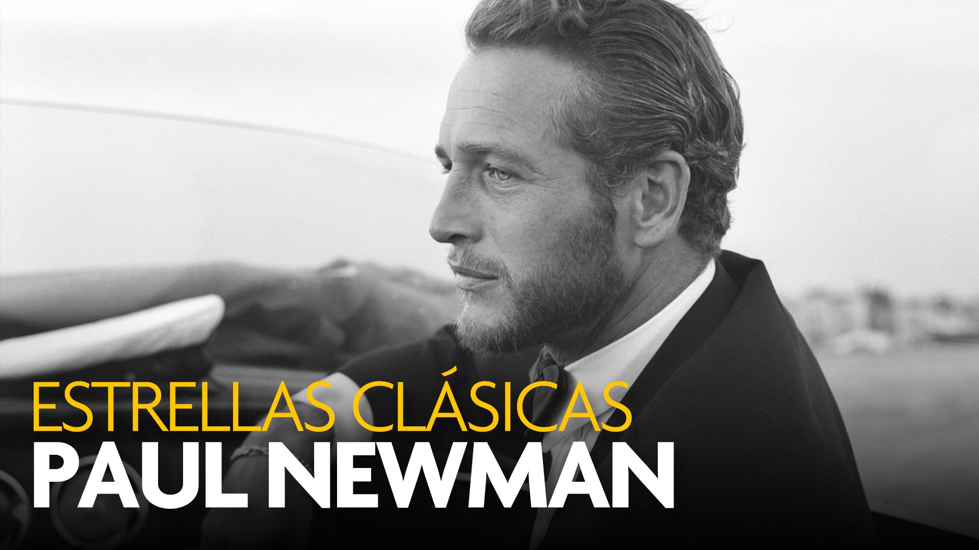Las 5 y más recomendadas películas Newman
