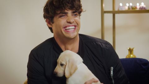 preview for Noah Centineo is The Perfect Boyfriend
