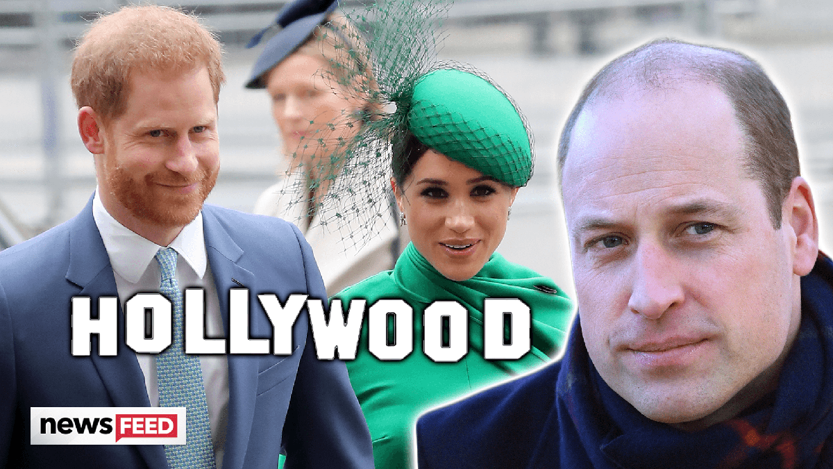 preview for Prince William ACCUSES Harry Of Choosing Fame Over Family!