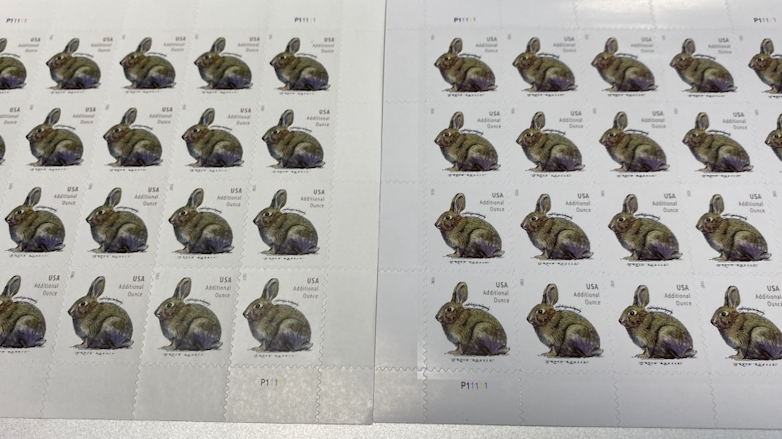 Consumer Alert: We put fake stamps to the test. How to shine a