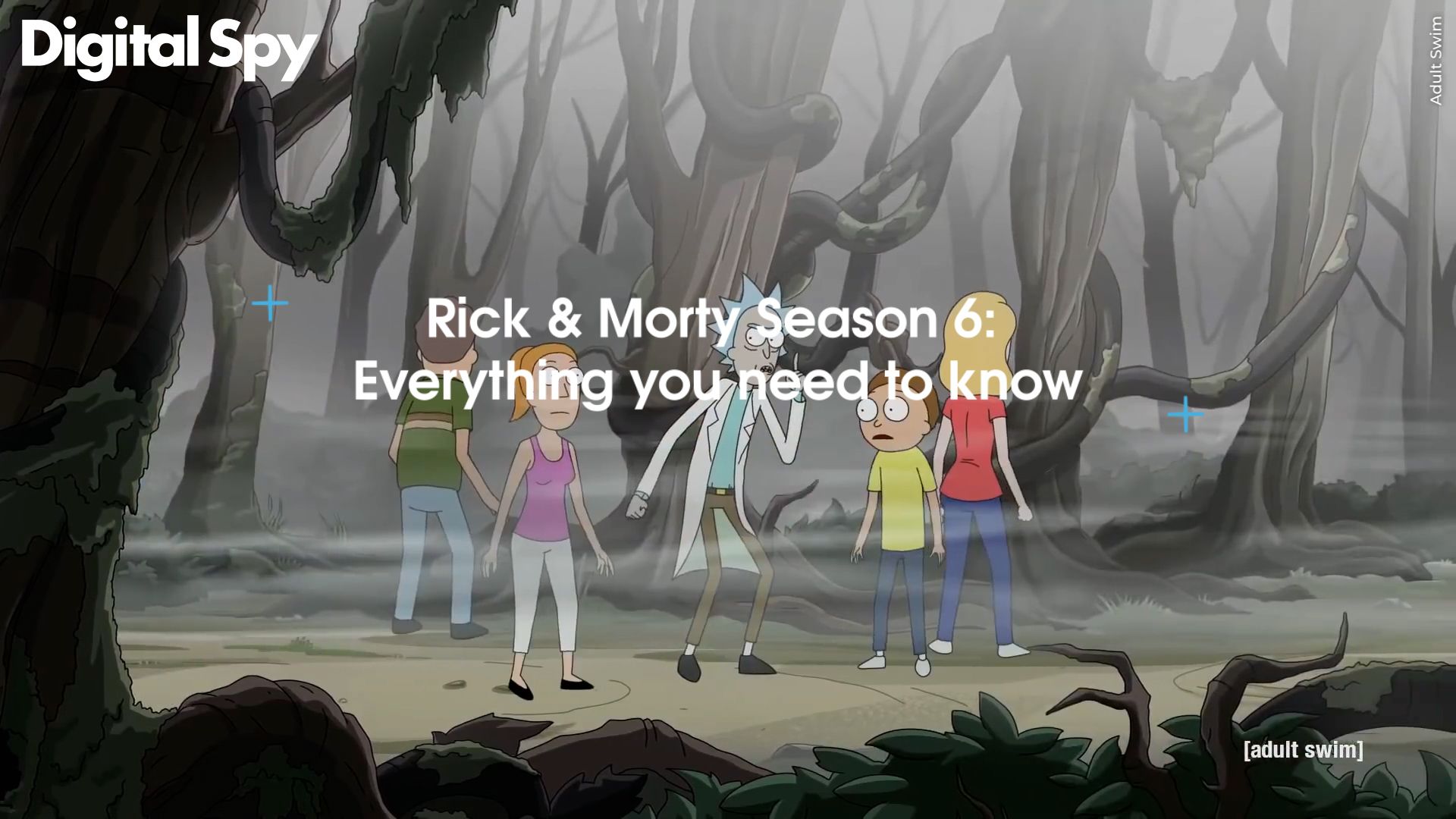 Rick and Morty get full spin-off series