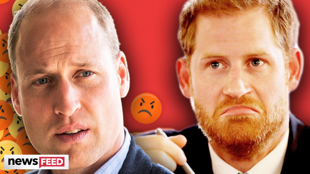 preview for New Details On Harry & William's 'Very UGLY' Feud Revealed!
