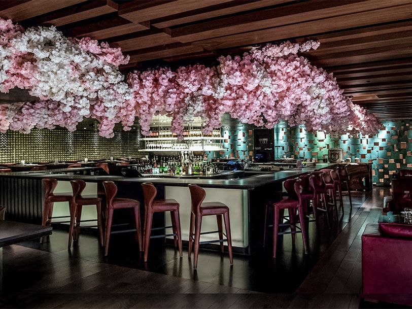 Blossom Flower Bar