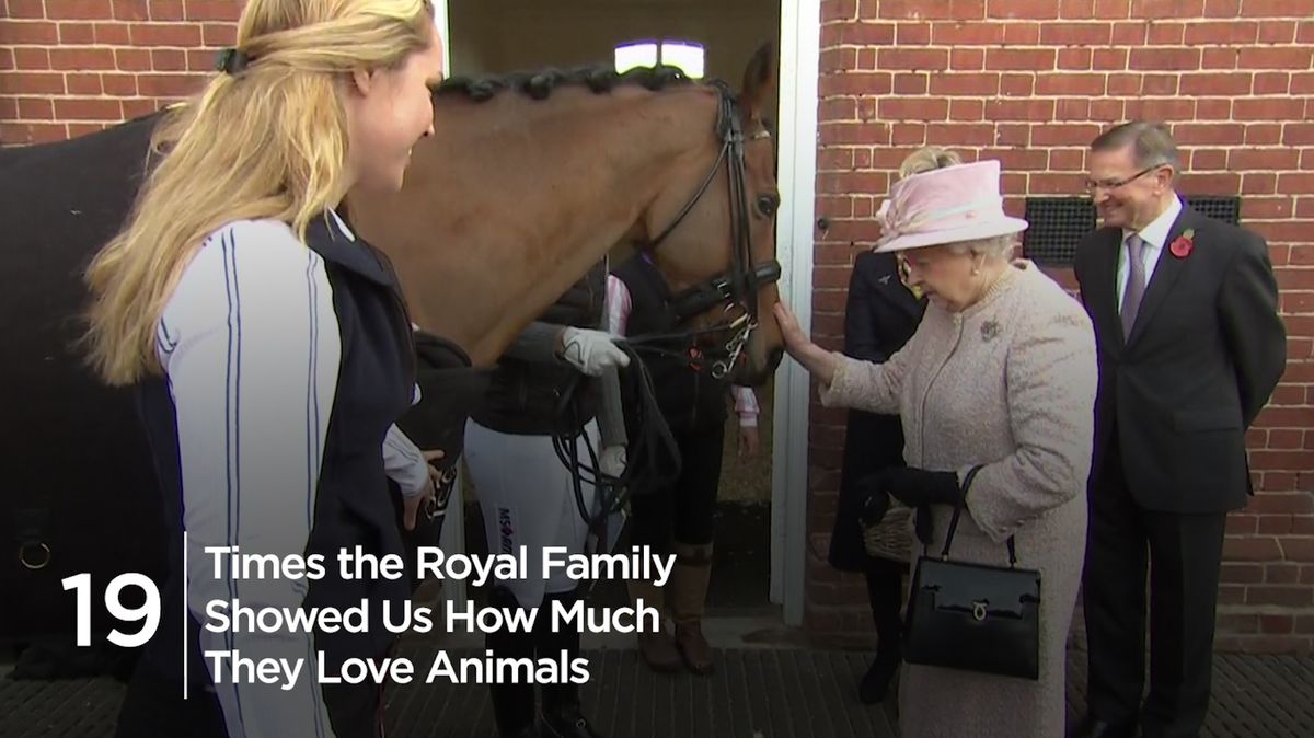 preview for 19 Times the royals showed us how much they love animals