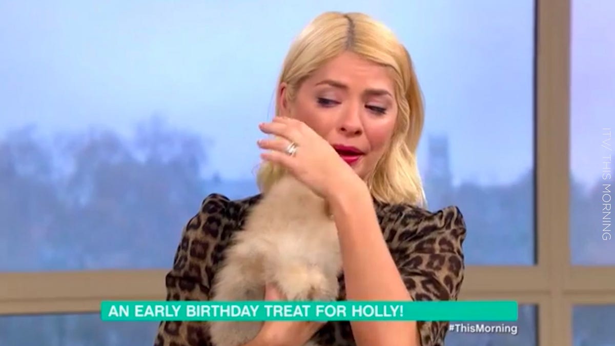 Holly Willoughby and Phillip Schofield cook on This Morning