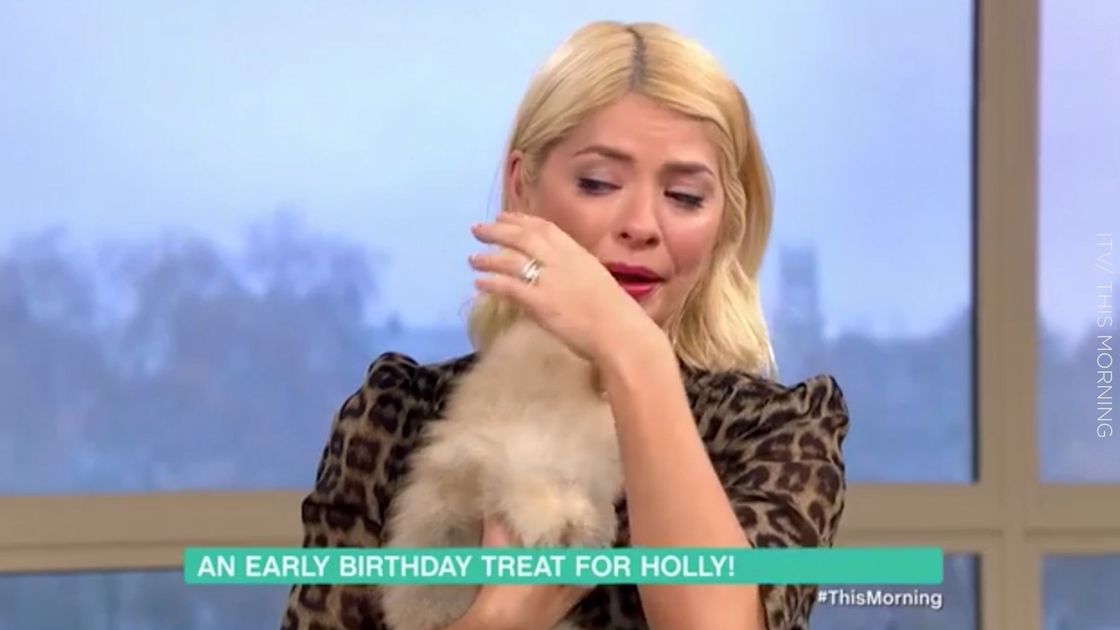 preview for Holly Willoughby breaks down in tears after getting surprised by puppies