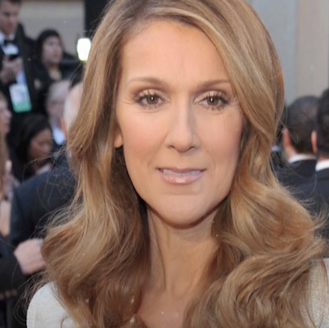 preview for Celine Dion's Best Looks