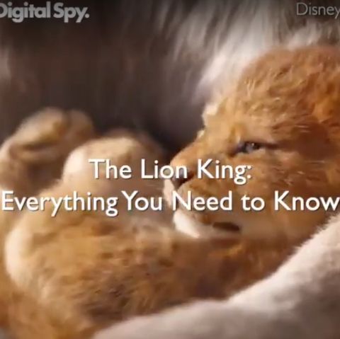 preview for The Lion King: All You Need To Know