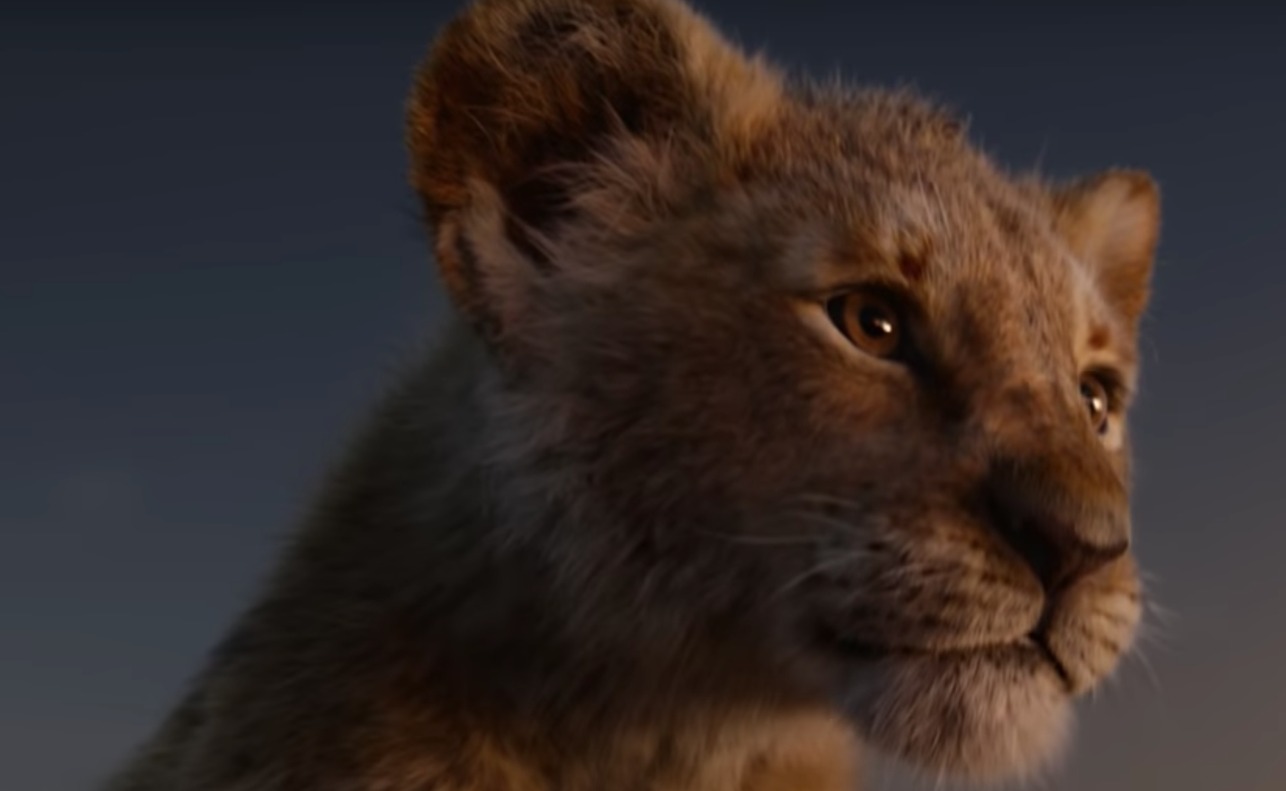 Simba (2019 Film) The Lion King Wiki Fandom | atelier-yuwa.ciao.jp