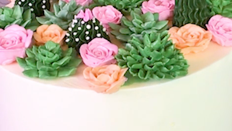 preview for This Succulent Cake is too cute to eat