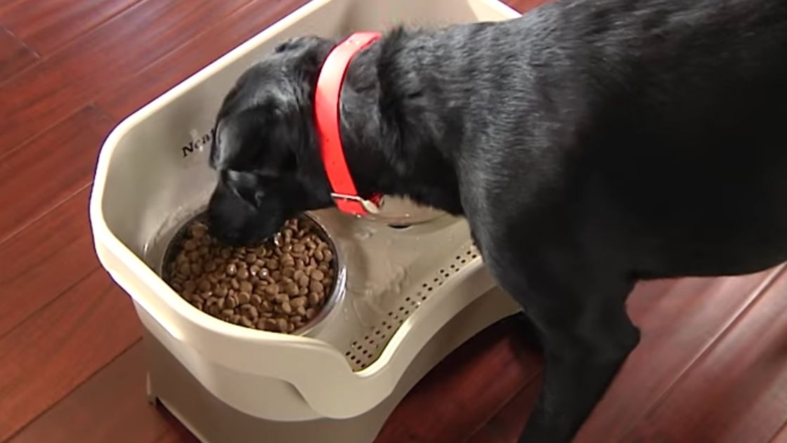 preview for Mess-proof Pet Feeder