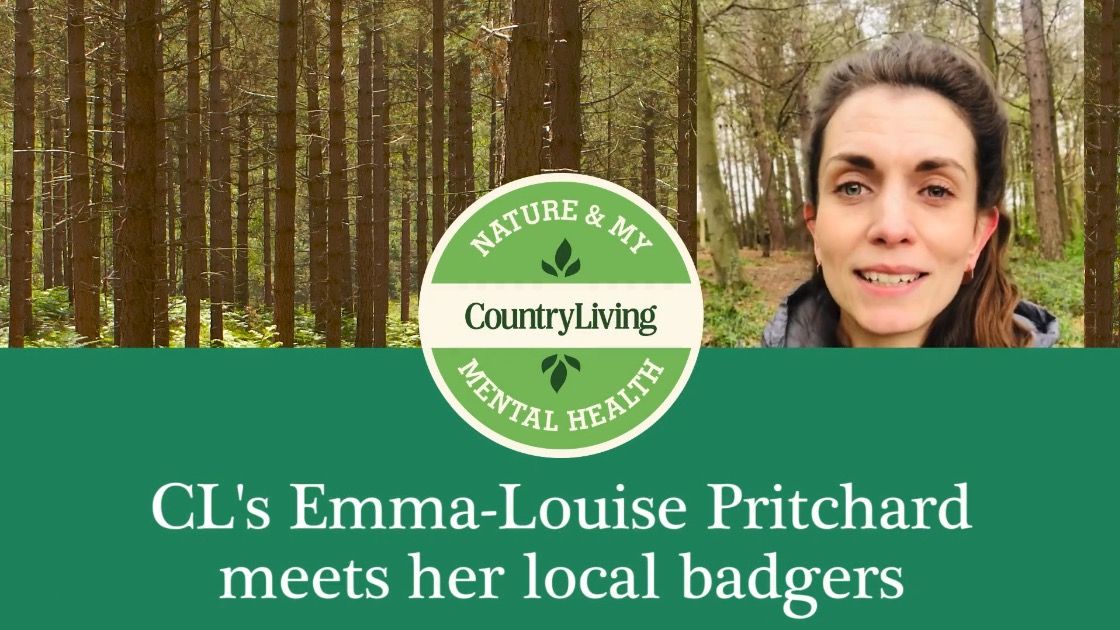 preview for Nature & My Mental Health: Emma-Louise Pritchard meets local badgers