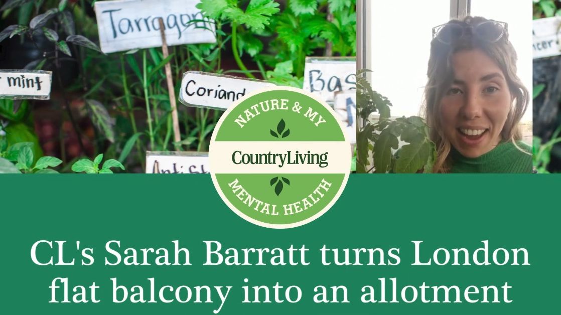 preview for Nature & My Mental Health: Sarah Barratt turns city balcony into allotment
