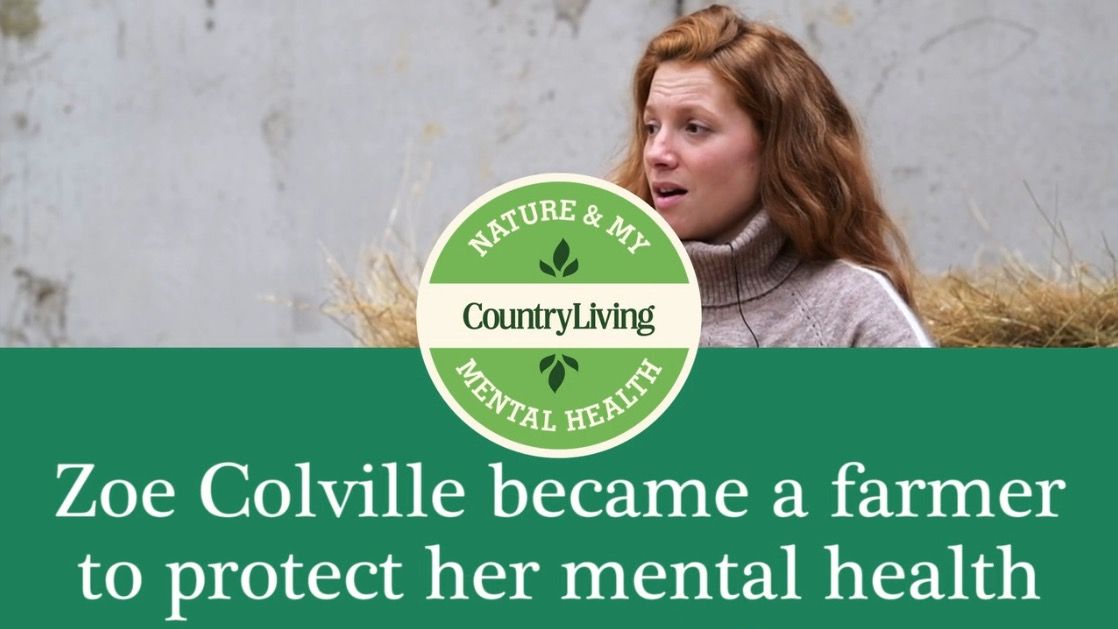 preview for Nature & My Mental Health: The Chief Shepherdess on quitting hairdressing to become a full-time farmer