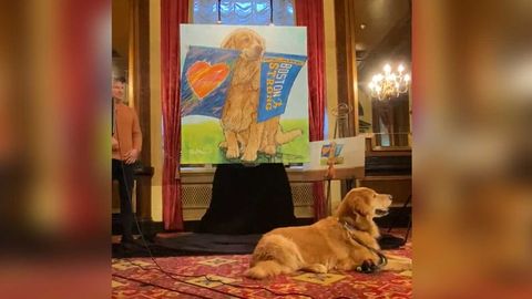 preview for Portrait honoring Spencer, Boston Marathon-loving dog, unvelied as he battles cancer again