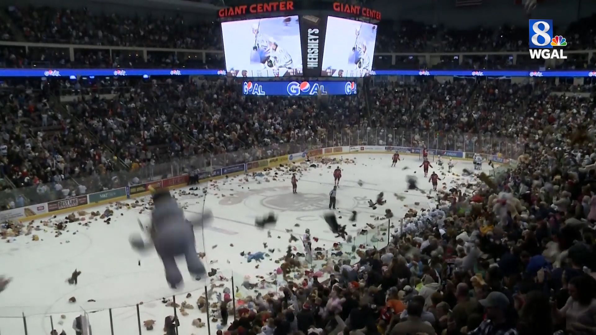 Video Its a record! Fans toss more than 34,000 Teddy Bears onto ice at Hershey Bears game