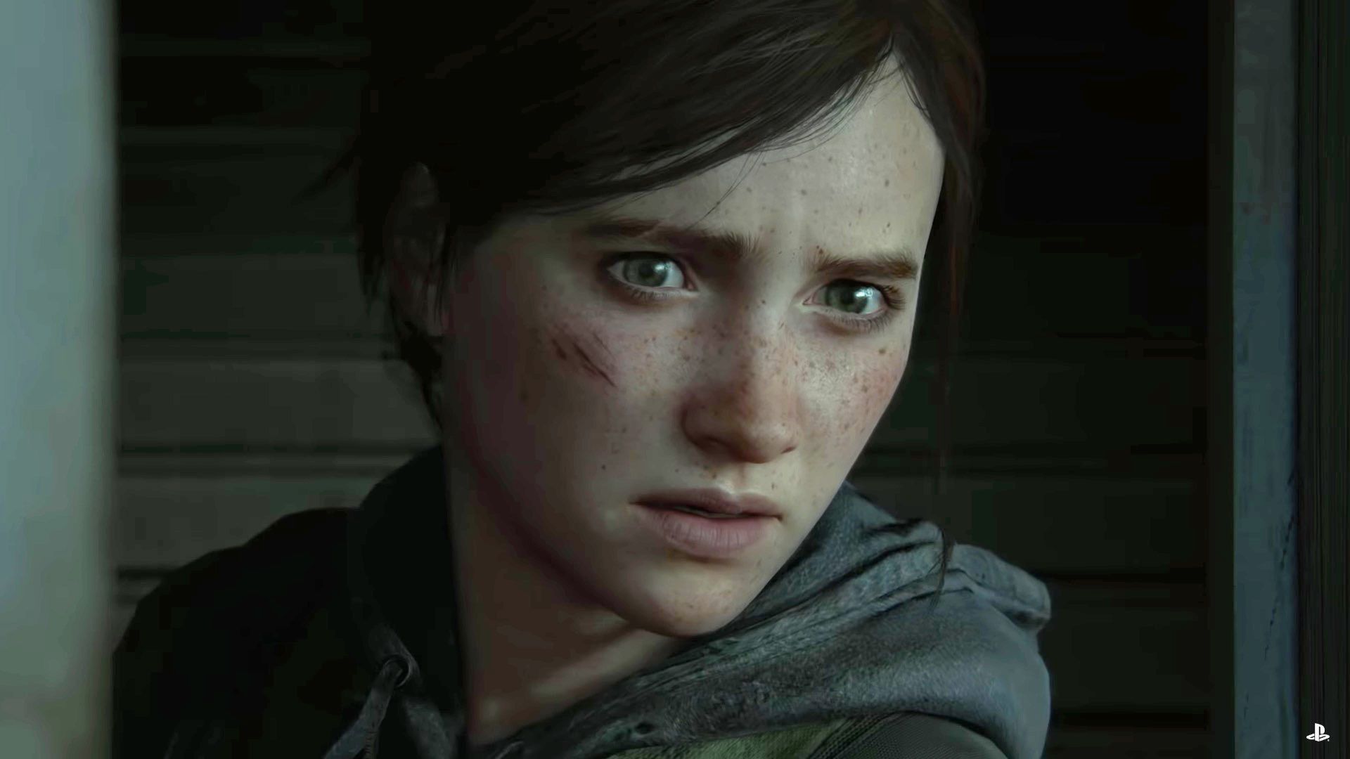 tlou 2 ellie icon  The last of us, Dear ellie, Ellie