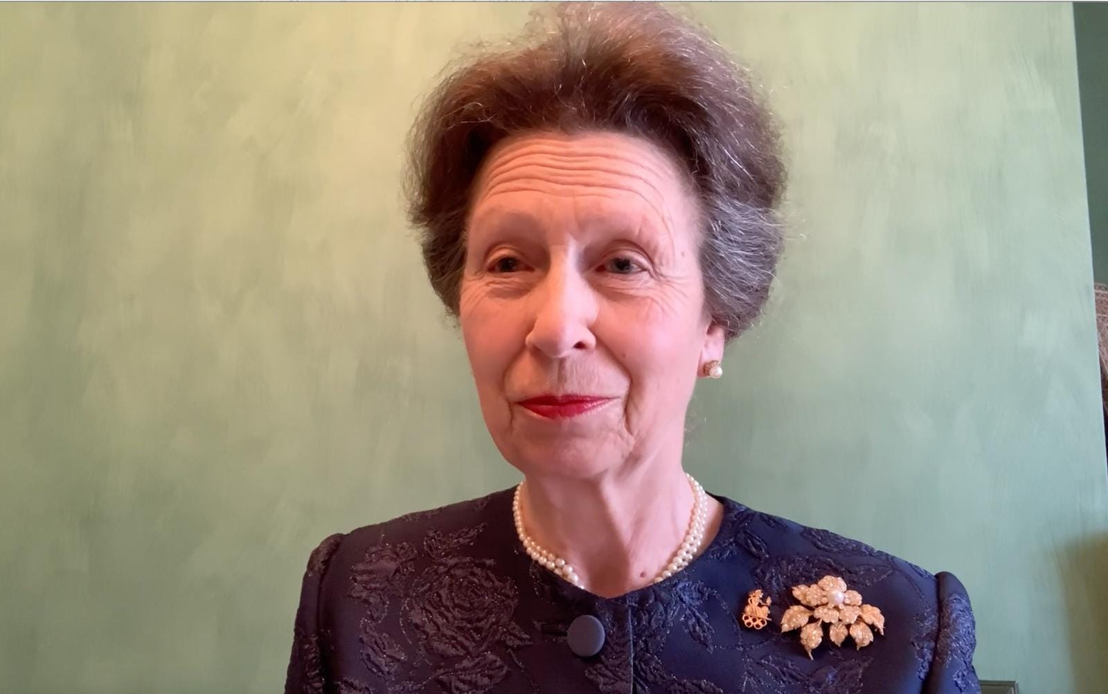 Princess Anne's Good Luck Message to Great Britain's Olympic Team