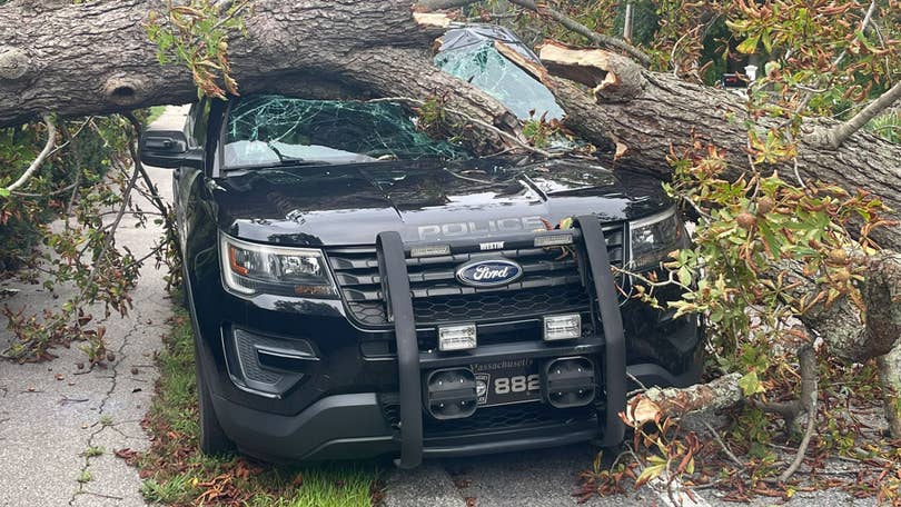 SUV crashes into three cars for sale on Cohasset lot